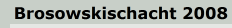 Brosowskischacht 2008